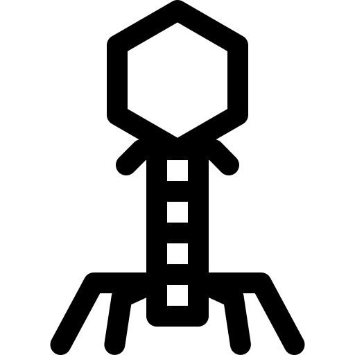 Phage Engineering